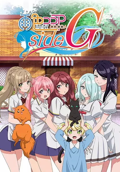 Ameiro Cocoa sideG