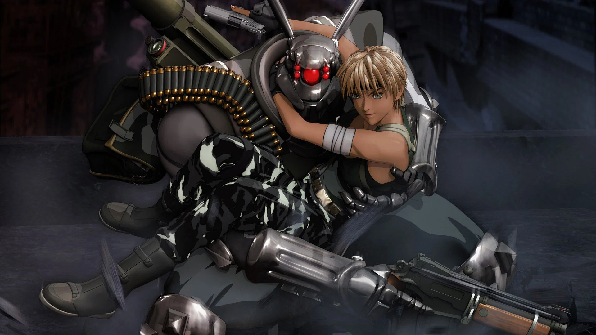 Appleseed XIII banner