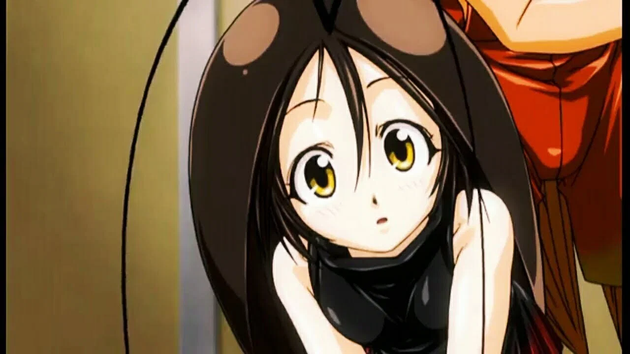 Gokicha!! Cockroach Girl banner
