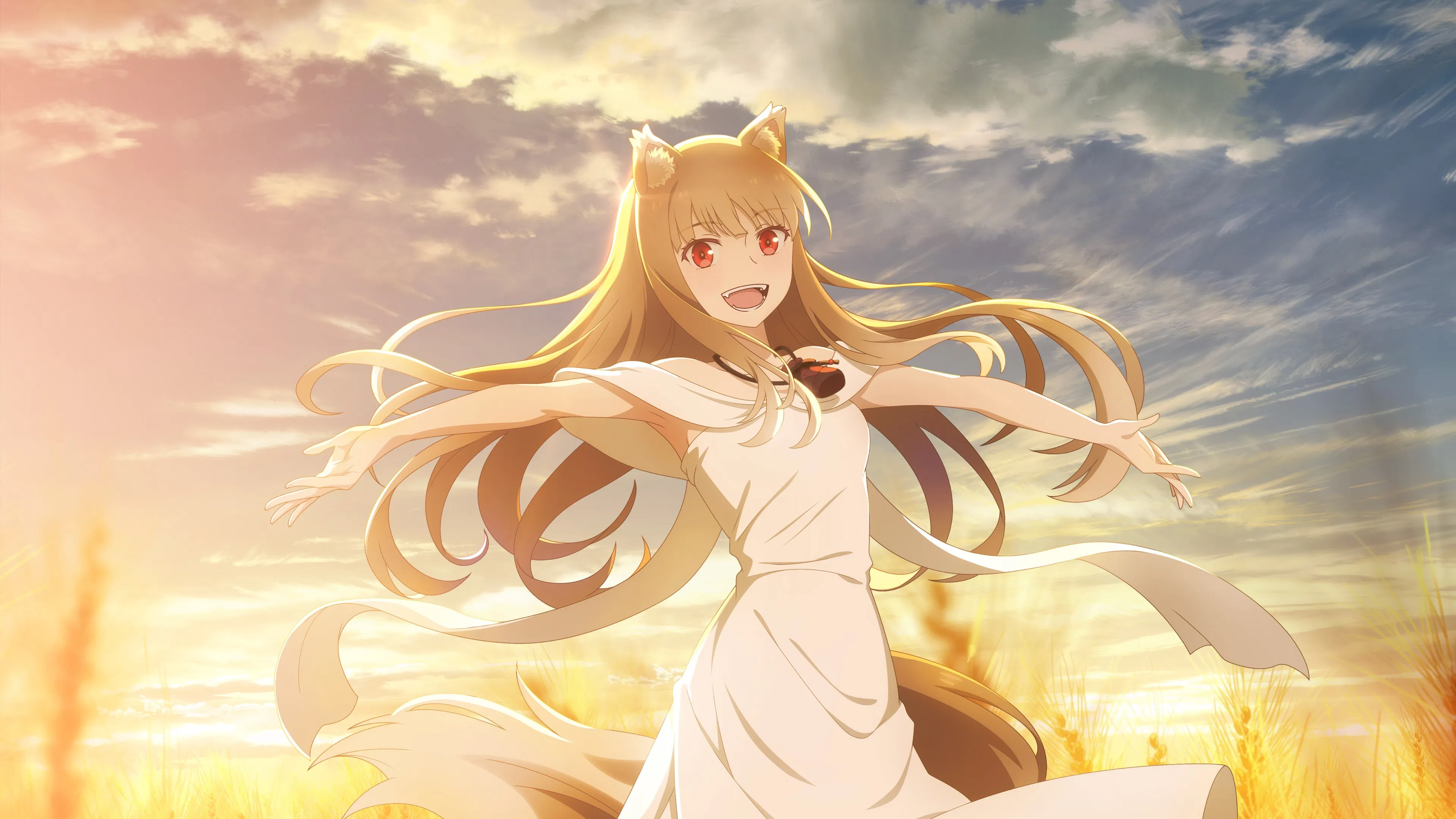 Ookami to Koushinryou: MERCHANT MEETS THE WISE WOLF 2nd Season banner