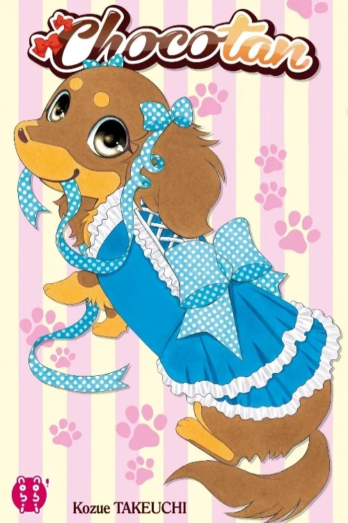 Chokotan!